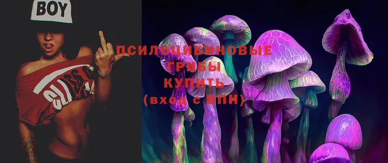 купить наркотики цена  Электроугли  Галлюциногенные грибы Psilocybe 